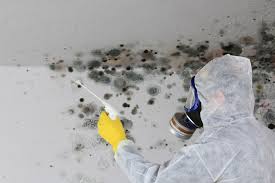 Why You Should Choose Our Mold Remediation Services in West Nyack, NY